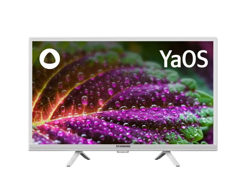 Телевизор StarWind 24" SW-LED24SG312